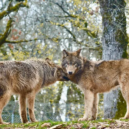 Parc Animalier De Hytte Gramat