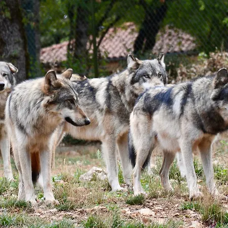 Parc Animalier De